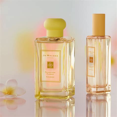 frangipani perfume|jo malone perfume online.